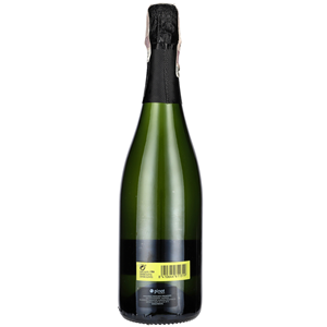 WINO MUSUJĄCE CAVA ARTESANAL WHITE SEMI SWEET 0,75