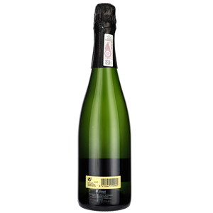 WINO MUSUJĄCE CAVA ARTESANAL WHITE BRUT 0,75L