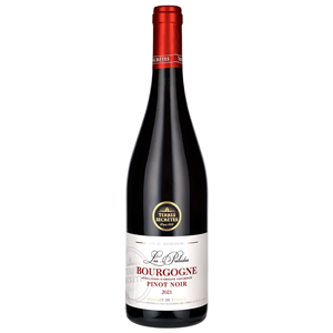 TERRES SECR. BOURGOGNE PINOT NOIR 2021 12,5% 0,75L