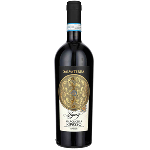 SALVATERRA RIPASSO VALPOLICELLA DOC 2018 0,75L