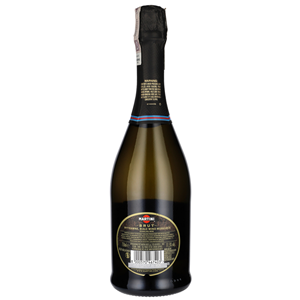 MUSUJĄCE MARTINI BRUT 0,75L 11.5%