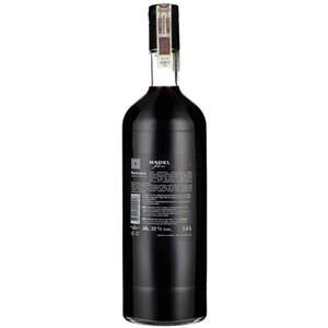 LIKIER BADEL BOROVNICA 1L 22%
