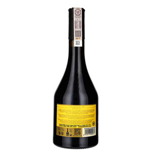 BRANDY TORRES 10Y BRANDY GRAND RESERVA 38% 0,7L